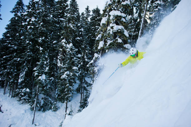istock Skiing fresh powder on a ski vacation 1252504497