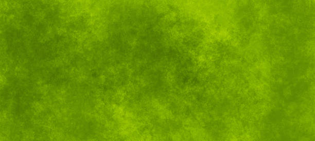 istock Modern grunge surface in light green tones. Random paint splashes on canvas. Mixed media backdrop 1252506348