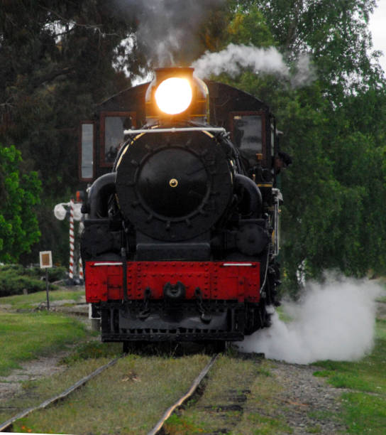 istock TRANSPORTATION- Steam Train Arriving at the Station 1252527369