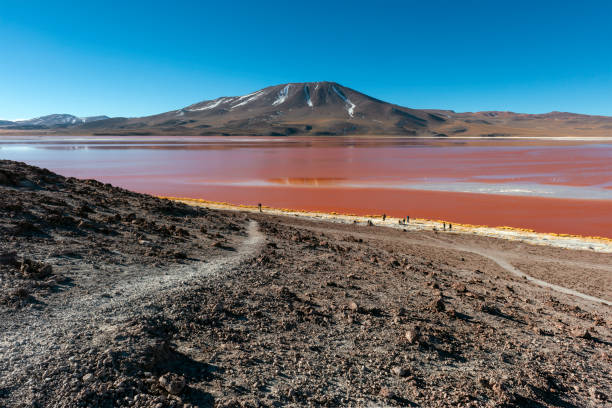istock Laguna Colorada, Uyuni, Bolivia 1252552181