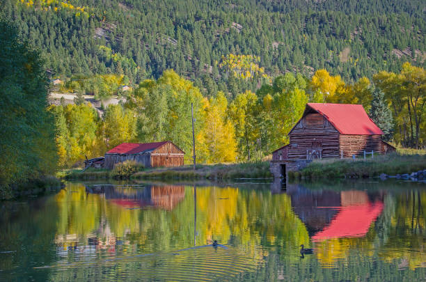 istock Old barns on a large reflection pond with autumn colors 1252555017