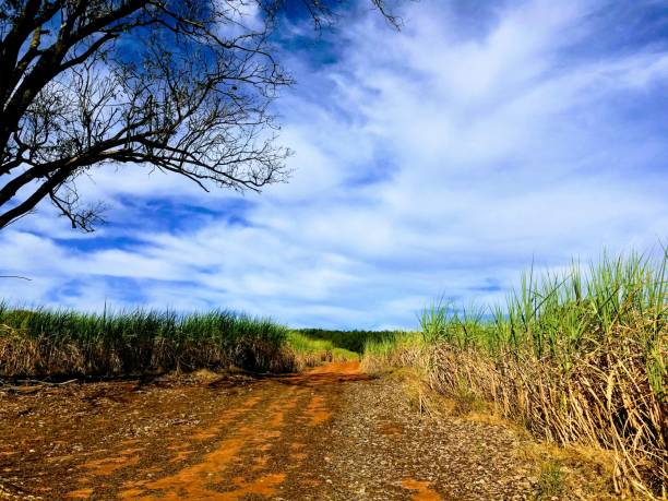 istock rural roads country life 1252563715