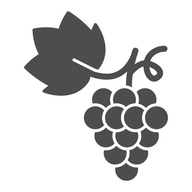 Bunch of grapes solid icon, summer concept, grapes sign on white background, Bunch of wine grapes with leaf icon in glyph style for mobile concept and web design. Vector graphics. Bunch of grapes solid icon, summer concept, grapes sign on white background, Bunch of wine grapes with leaf icon in glyph style for mobile concept and web design. Vector graphics fruit symbols stock illustrations
