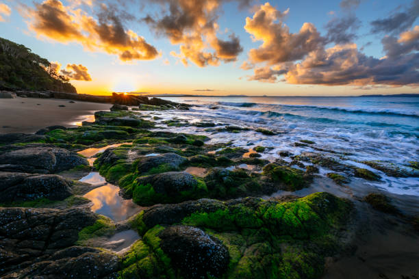 istock Tea Tree Bay in Noosa National Park 1252565189
