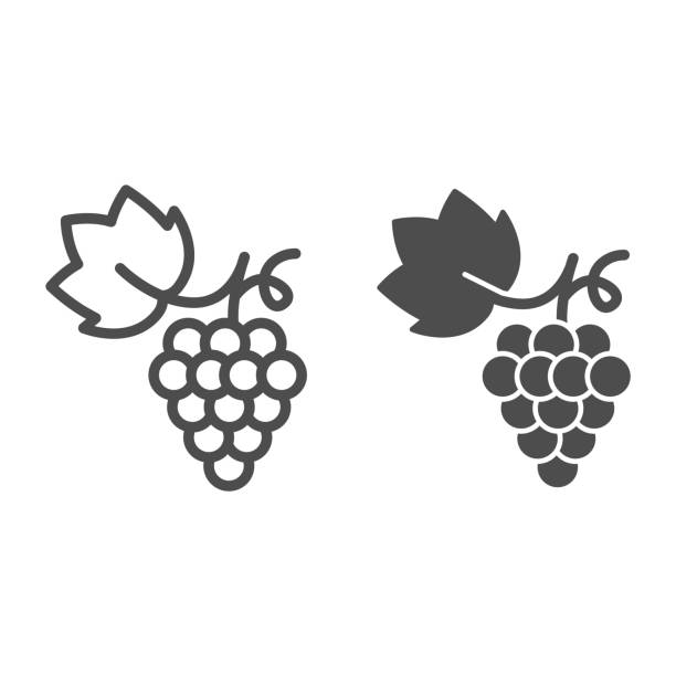 ilustraciones, imágenes clip art, dibujos animados e iconos de stock de bunch de línea de uvas e icono sólido, concepto de verano, signo de uva sobre fondo blanco, racimo de uvas de vino con icono de hoja en estilo de contorno para el concepto móvil y el diseño web. gráficos vectoriales. - uva