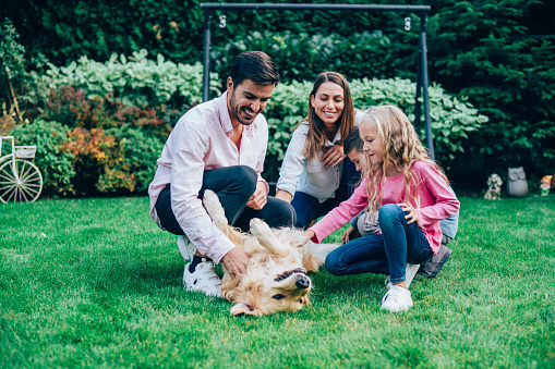 Happy family having fun outside with their dog. Young family with two children playing with cute Golden Retriever in backyard of their house.