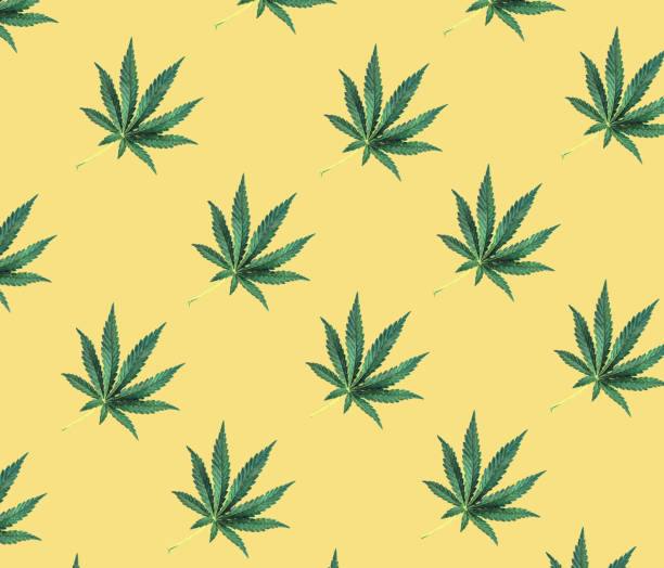 istock Pattern of green cannabis leaves on a yellow background. 1252576134