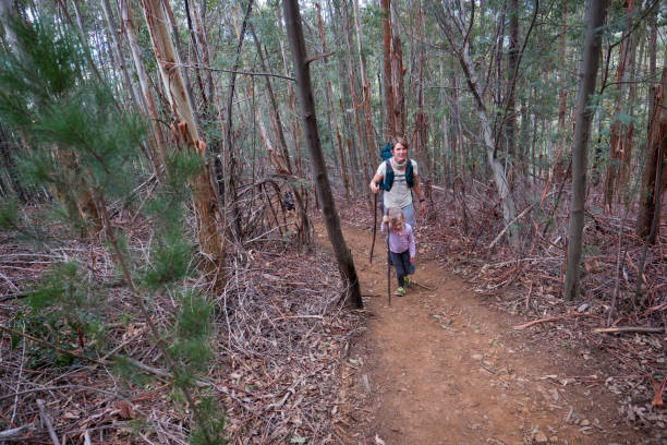 istock Mother and daughter hiking along a forest path 1252577028
