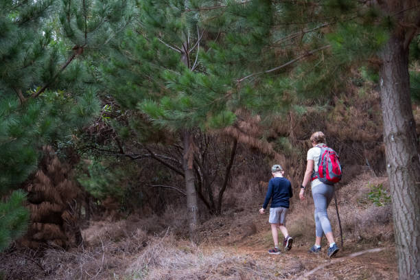 istock Mother and son hiking along a forest path 1252577118