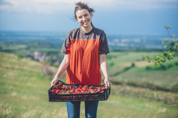 istock Ready to take strawberries home! 1252579615
