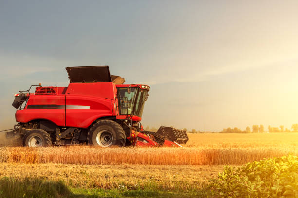istock Red combine harvester is working during harvest time in the farmer’s fields, machine is cutting grain plants at sunset 1252580881
