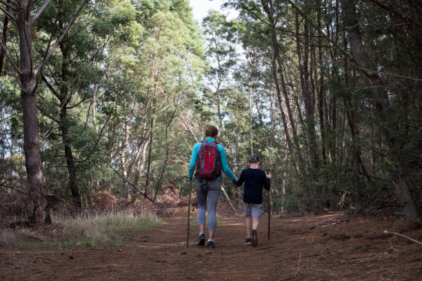 istock Mother and son hiking along a forest path 1252581798