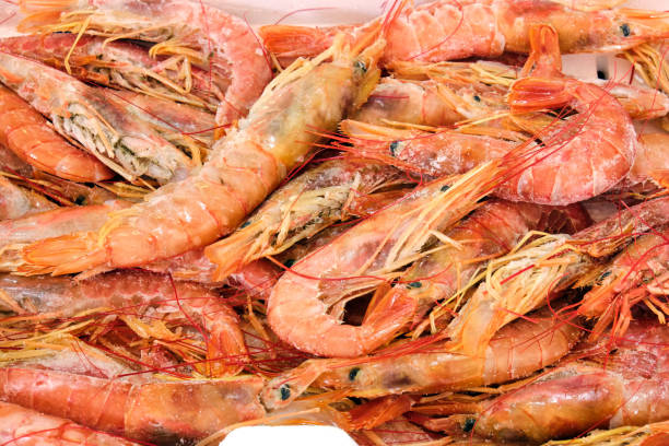 istock Fresh shrimps for sale 1252584719