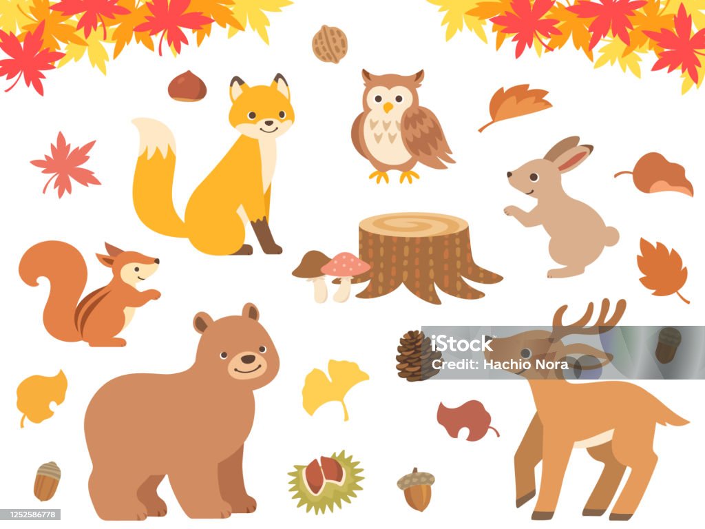 가을 숲과 동물의 일러스트 세트 다람쥐에 대한 스톡 벡터 아트 및 기타 이미지 - 다람쥐, 아이콘, 올빼미류 - Istock