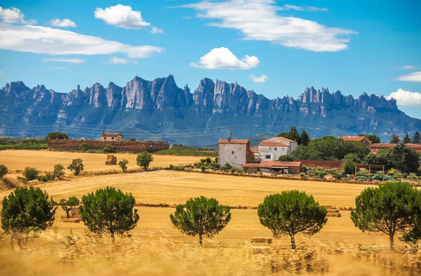 Summer landscape. Spain, Catalonia, Costa Brava