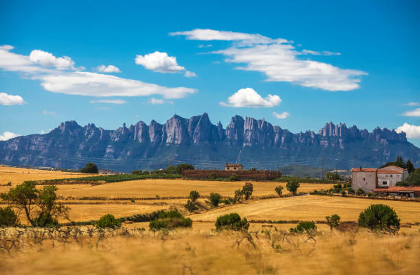 istock Field with straw bales 1252587081