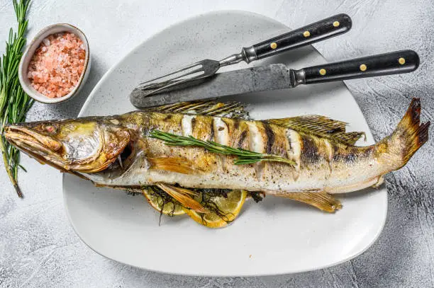 Photo of Baked pike perch, pikeperch fish. Gray background. Top view