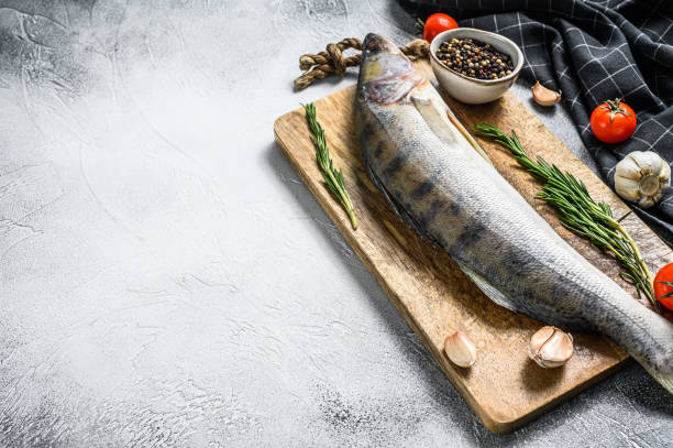 istock Zander, walleye with herbs. Raw fish. Gray background. Top view. Copy space 1252588689