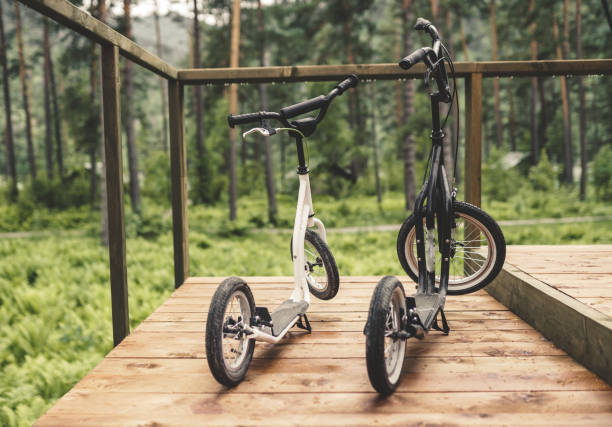 istock push scooter in the forest park 1252599371