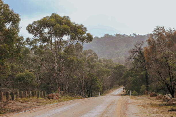 istock light rain on a dirt road through the you yangs 1252600280