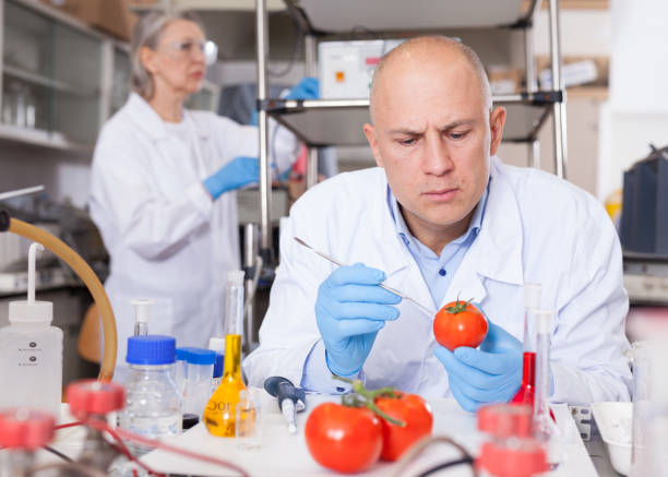 istock Scientist checking agricultural products 1252602426