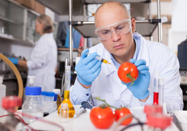 istock Biochemist injecting chemicals into tomatoes 1252602429