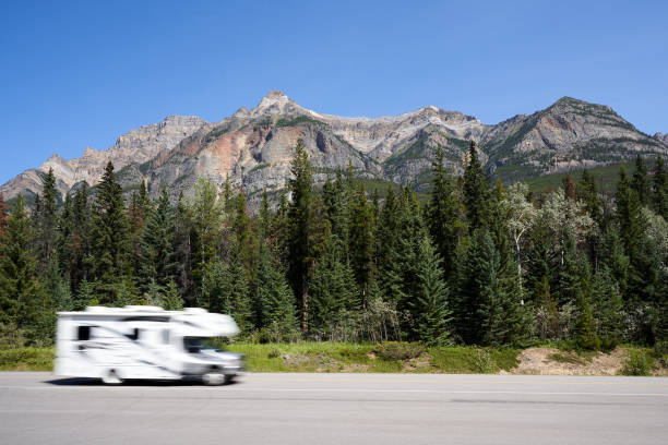 camping-car à travers les montagnes rocheuses - driving motor home forest banff national park photos et images de collection