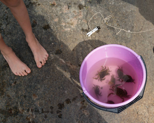istock Children fishing crabs 1252605443
