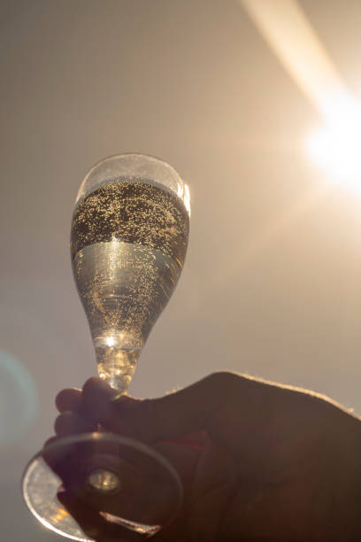 istock Single champagne flute 1252607560