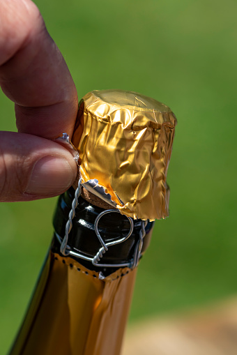 A Champagne bottle being opened in an English domestic garden in summer.