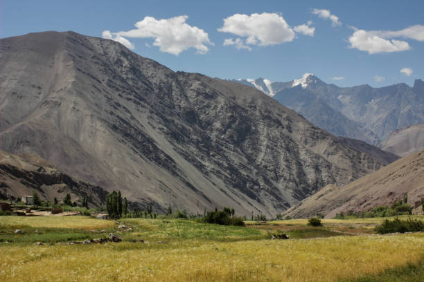 istock Wheat Fields in the Indian Himalayas (Ladakh) 1252608774