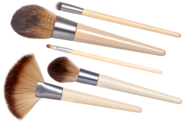 makeup brushes isolated. collage set of five new wooden professional make up brushes isolated on a white background. concept beauty. - make up brush imagens e fotografias de stock
