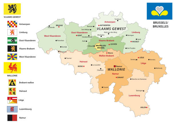 illustrazioni stock, clip art, cartoni animati e icone di tendenza di belgio mappa vettoriale amministrativa e politica con bandiere - namur province