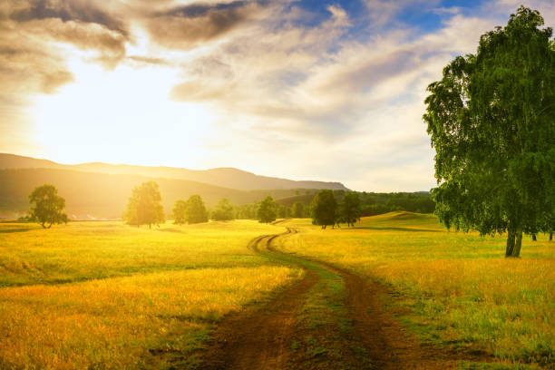 istock Road in the countryside at sunset 1252611102