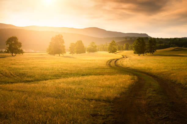 istock Road in the countryside at sunset. 1252611151
