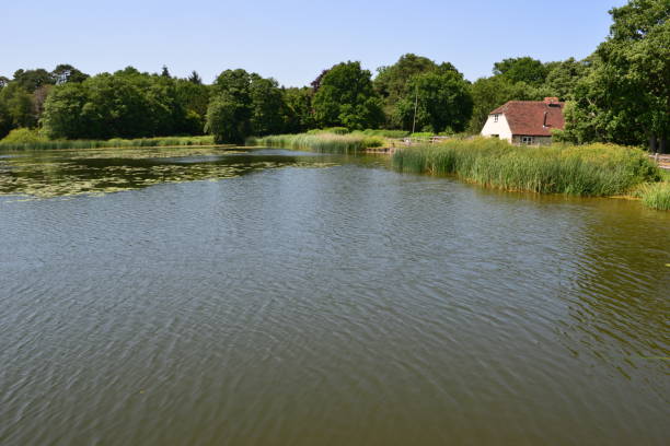 lago burton mill em petworth, west sussex - mill - fotografias e filmes do acervo