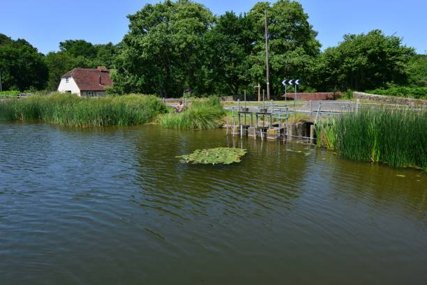 lago burton mill em petworth, west sussex - mill - fotografias e filmes do acervo