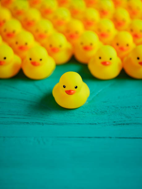 istock Large group of yellow rubber ducks, with one duck at the front which has moved away from the group, standing out from the crowd. Scene set on a weathered, turquoise colored wooden panel background conceptually representing water. 1252613421