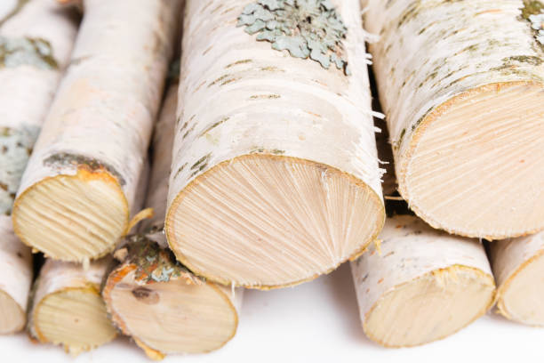 A pile of birch firewood isolated on a white background