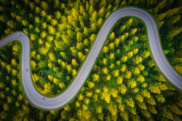 beautiful aerial view of road between green and yellow pine tree forest in thailand. car moving on road. - road top view imagens e fotografias de stock