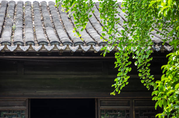 istock Green branches in front of the old house 1252616026