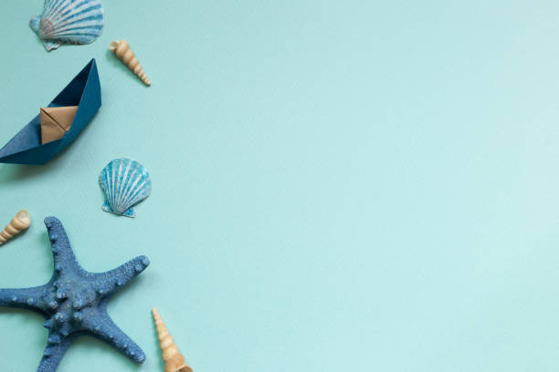 istock Summer vacation concept. Shellfish and starfish on blue background. flat lay, top view, copy space 1252617060