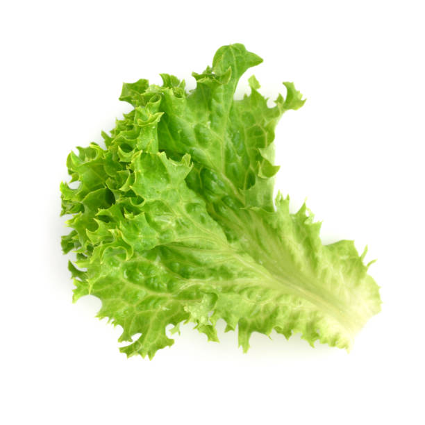 istock Salad leaf. Lettuce isolated on white background 1252617270