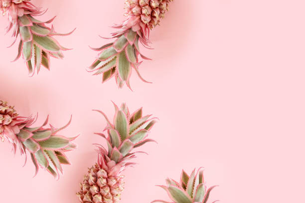 istock Frame made of little decorative pineapples. 1252620824