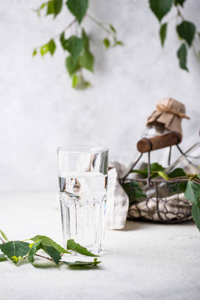 istock Birch juice, traditional Russian spring drink 1252624419