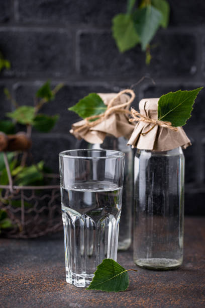istock Birch juice, traditional Russian spring drink 1252624446