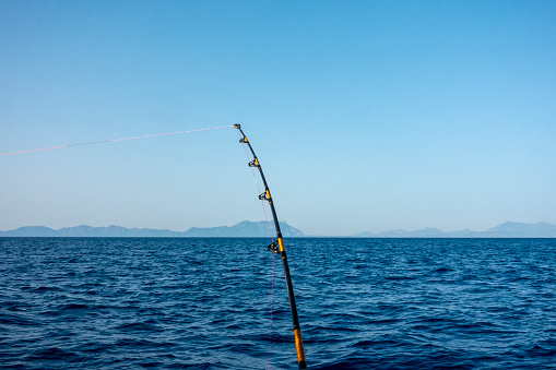 Deep Sea Fishing rod and reel