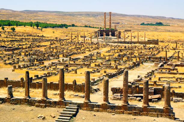 античное римское место тимгада возле батны, алжир - timgad стоковые фото и изображения