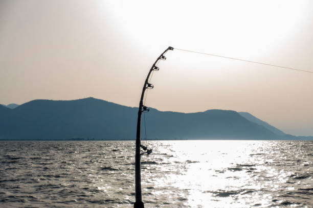 istock Deep Sea Fishing 1252645228
