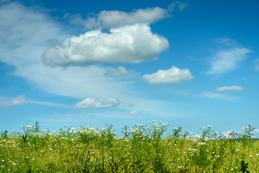 Beautiful blue sky with clouds over a field in Colombia, South America.